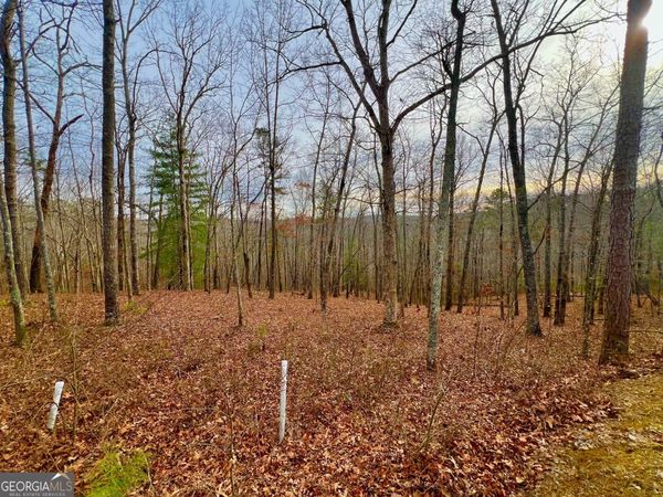 208 Harris Ridge Drive, Ellijay, GA 30540