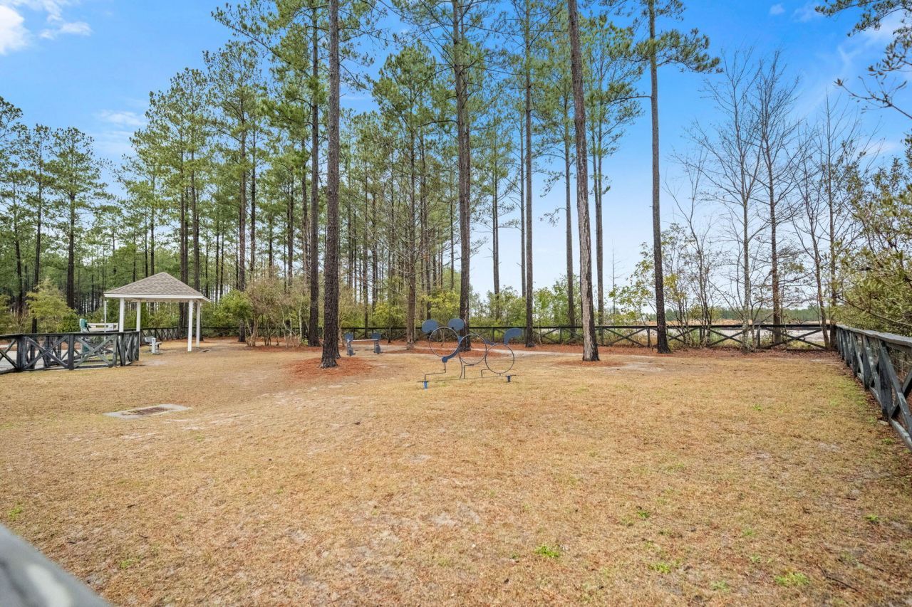 253 Tupelo Lake Drive Photo 92