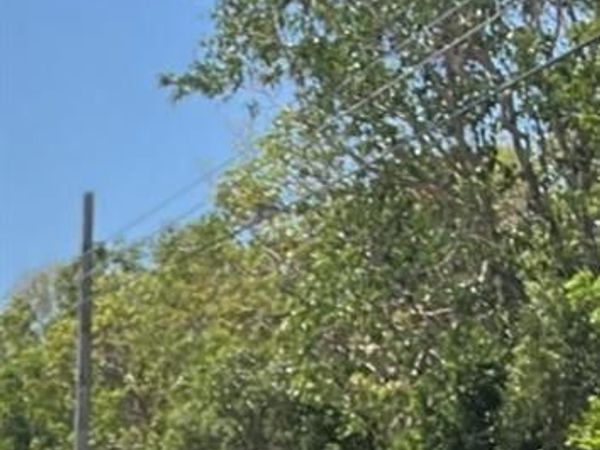 CARD SOUND ROAD, Homestead, FL 33035