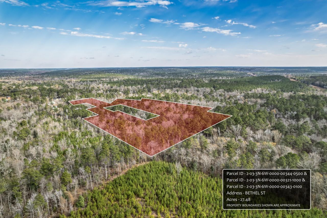 Xxx Bethel Street , Chattahoochee, FL 32324 Photo