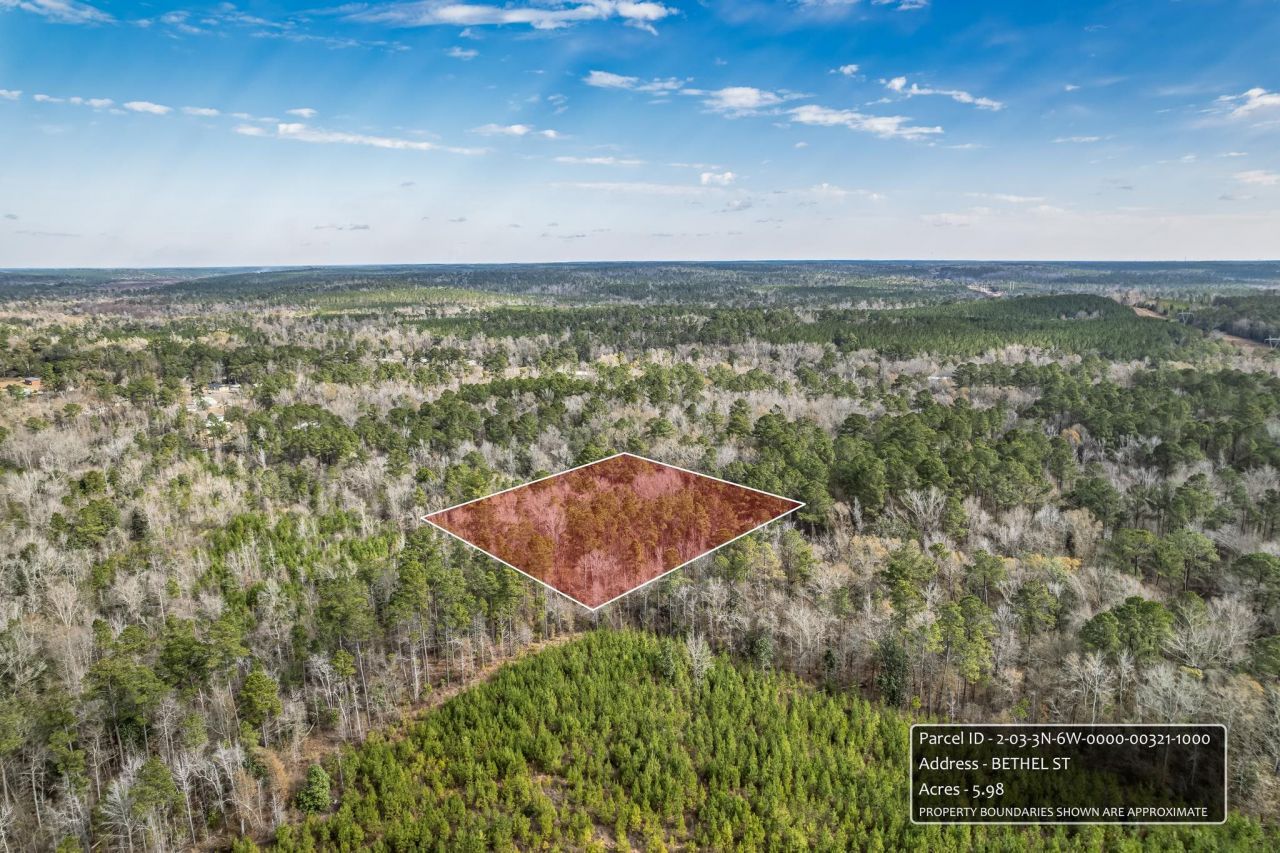 X Bethel Street , Chattahoochee, FL 32324 Photo