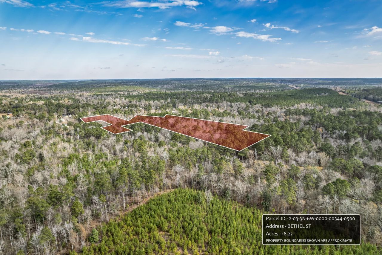 X Bethel Street , Chattahoochee, FL 32324 Photo