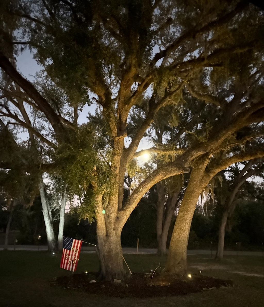 3639 Joel Aman Road, Perry, FL 32347 Photo