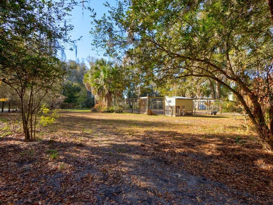Property Image 43