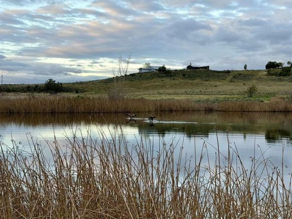 22363 Highway 184, Lewis, CO 81327