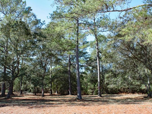 7483 Haddington Place SW, Sunset Beach, NC 28468