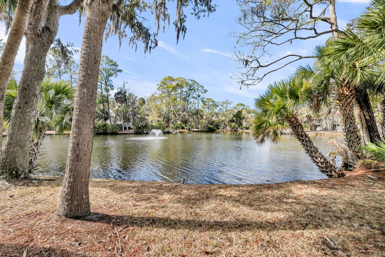 492 Egrets Pointe Photo 36