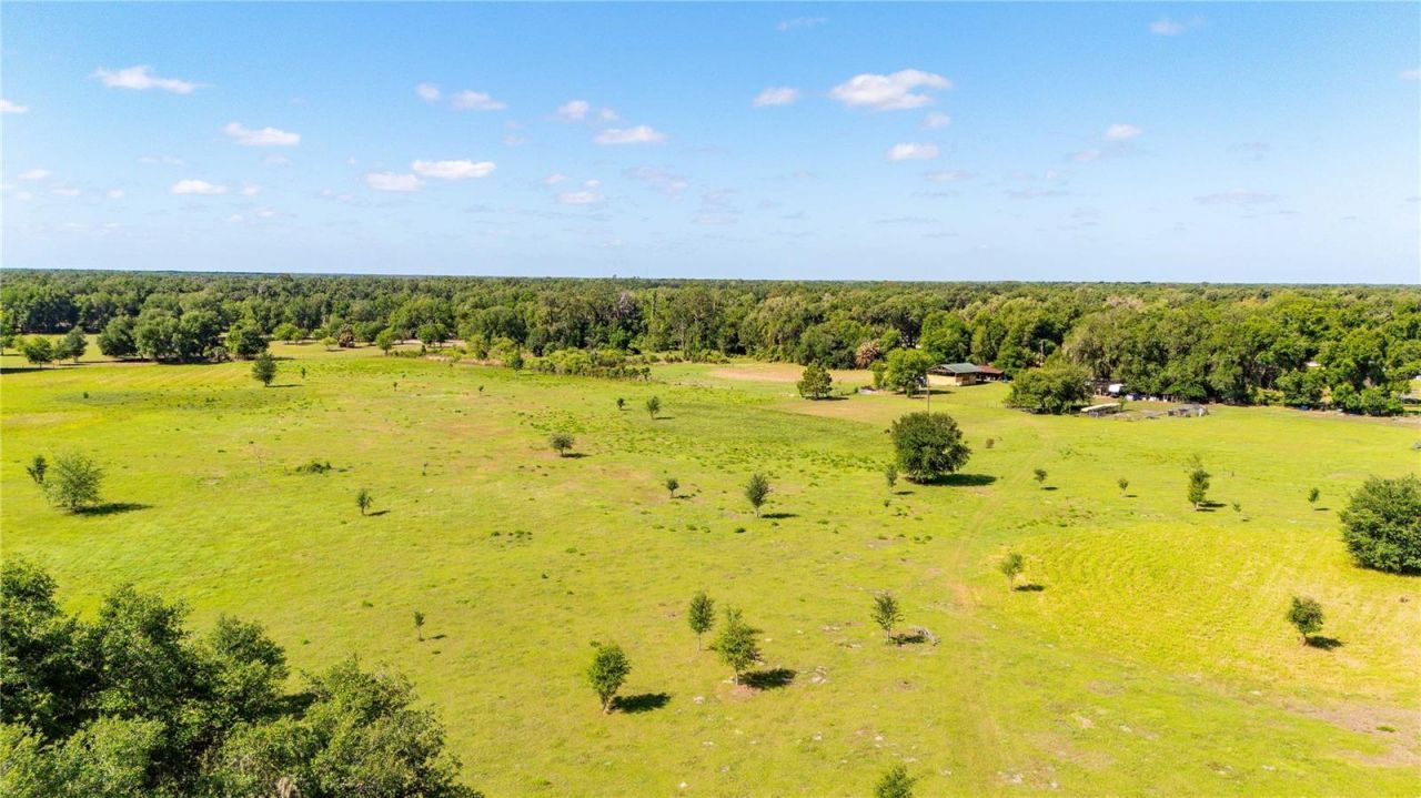 12237 Cr 727, Webster, FL 33597 Photo