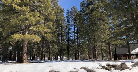 15627 Sudsbury Circle, Truckee, CA 96161 Photo