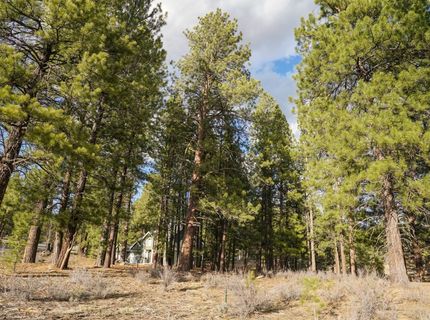 15627 Sudsbury Circle, Truckee, CA 96161 Photo