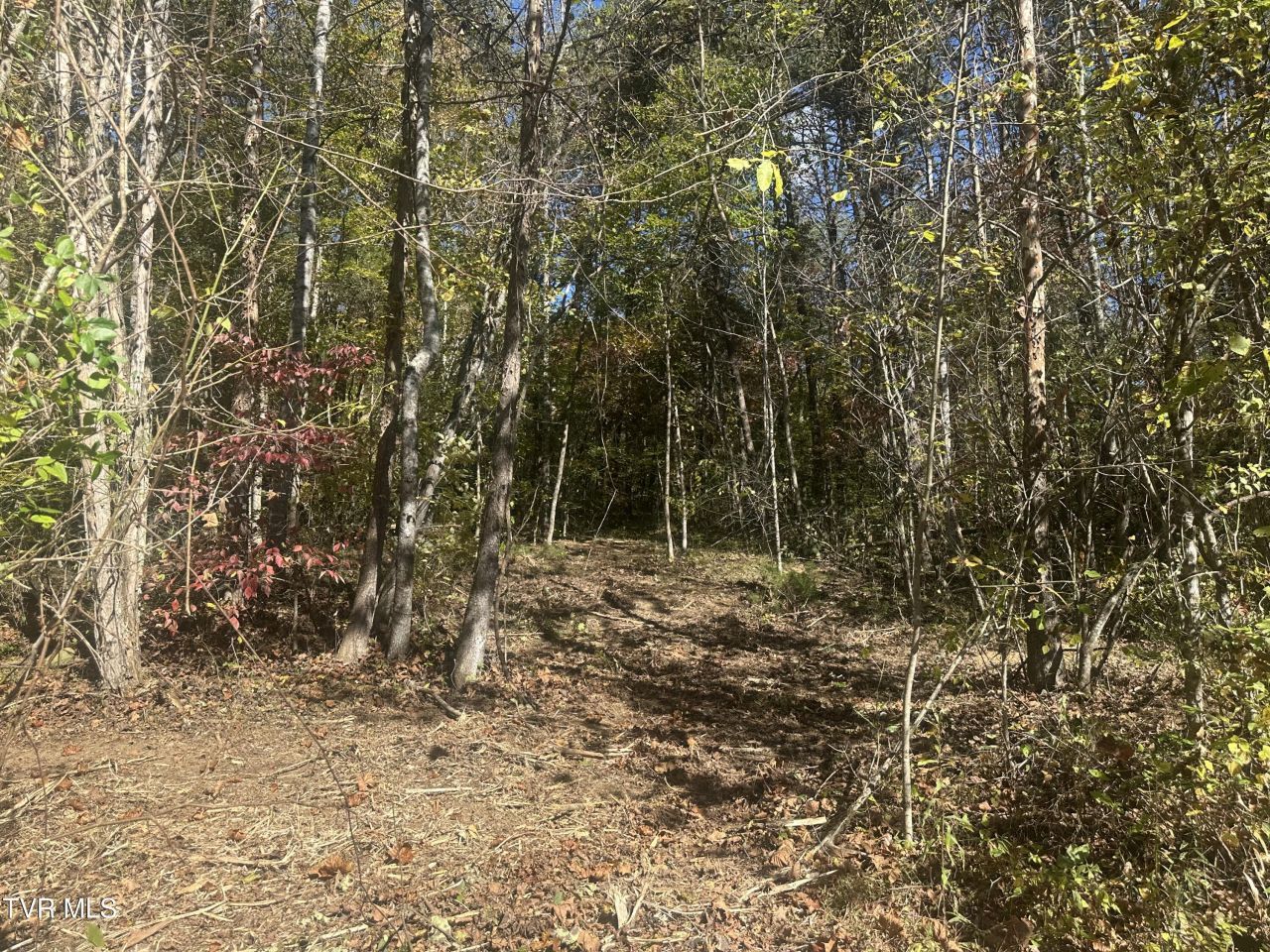 Lot 1 Butcher Valley Road, Rogersville, TN 37857 Main Photo