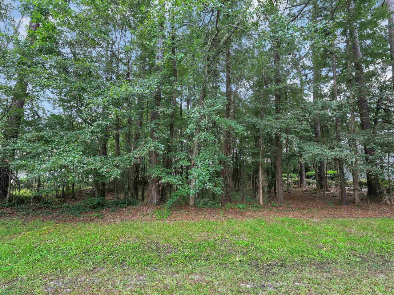 1286 Strathmill Ct. Photo 8