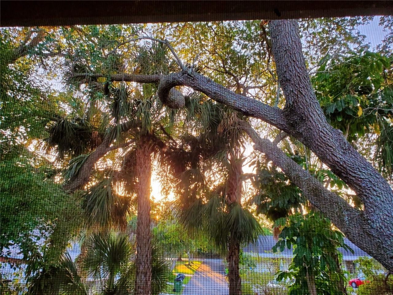 2224 Bahia Vista Street, Unit E6, Sarasota, FL 34239 Photo