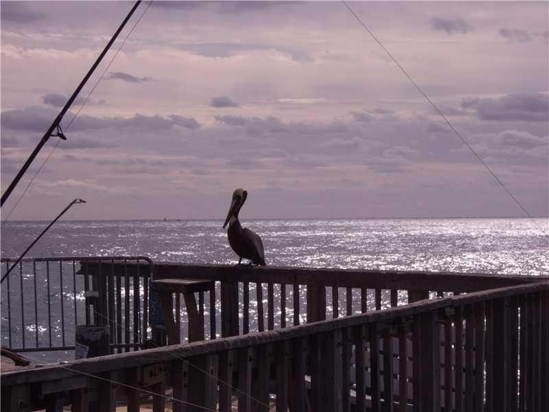 133 N Pompano Beach Blvd, Unit 708, Pompano Beach, FL 33062 Photo