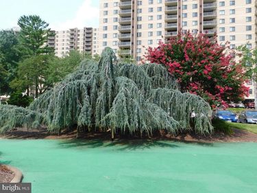 309 YOAKUM PARKWAY, Unit 504, ALEXANDRIA, VA 22304