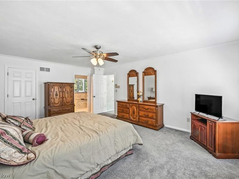 3682 Sperone Drive, Canfield, OH 44406 Photo 23