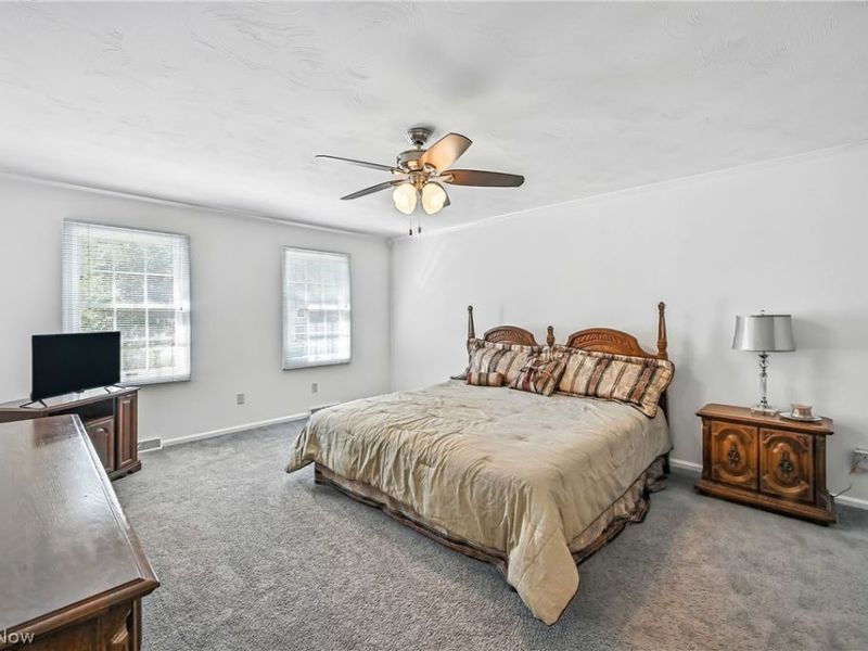 3682 Sperone Drive, Canfield, OH 44406 Photo 24