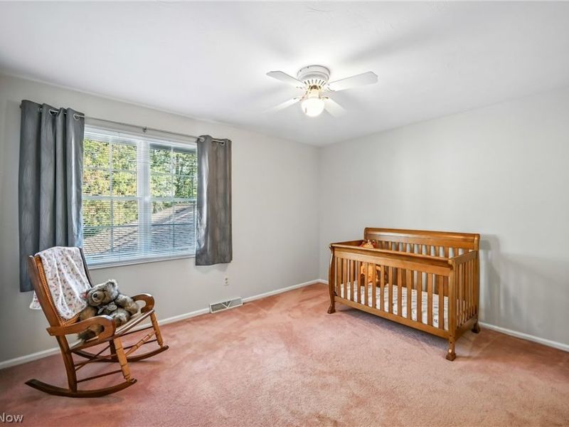 3682 Sperone Drive, Canfield, OH 44406 Photo 28