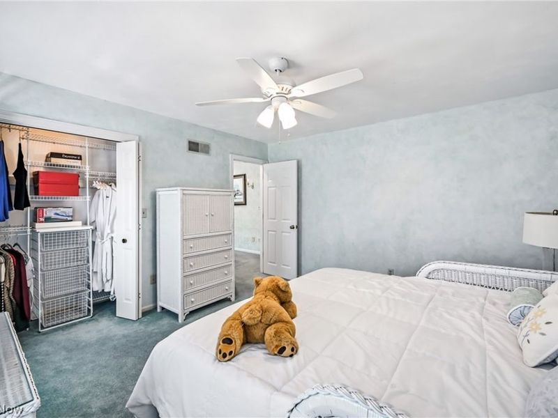 3682 Sperone Drive, Canfield, OH 44406 Photo 32