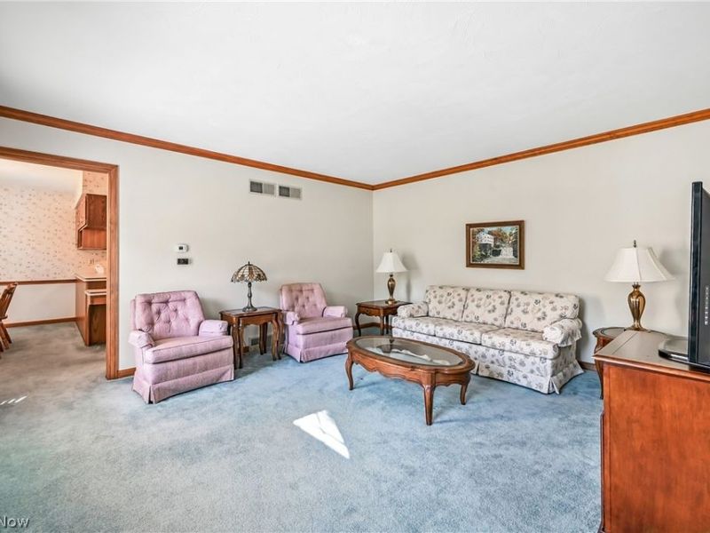 3682 Sperone Drive, Canfield, OH 44406 Photo 40