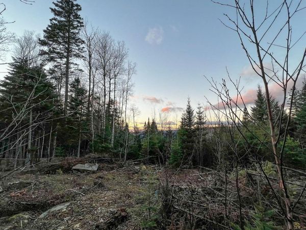 Lot 16 Mill Brook Road , Sandy River Plt, ME 04970