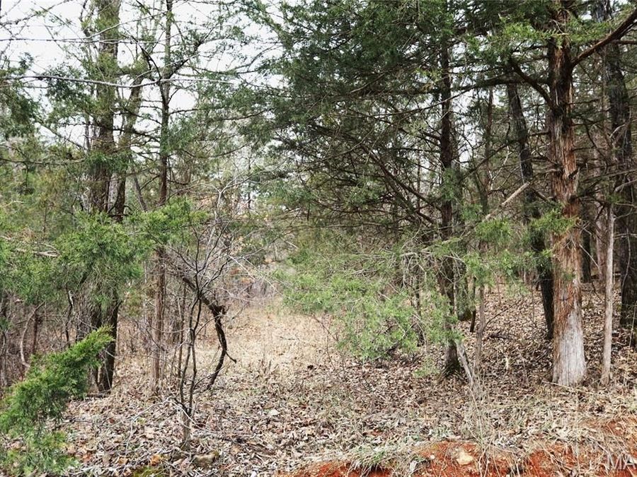 Property Image 17