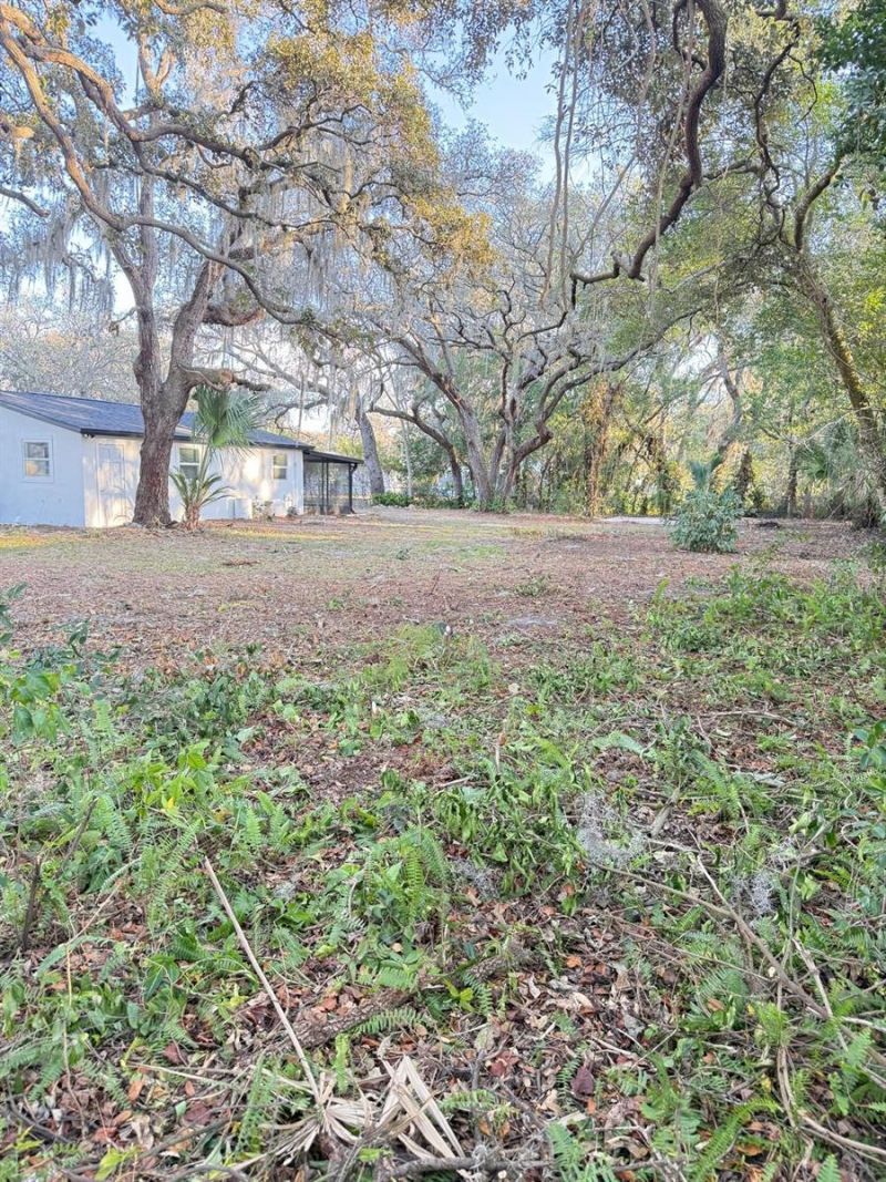 12707 Colony Road, Hudson, FL 34669 Photo