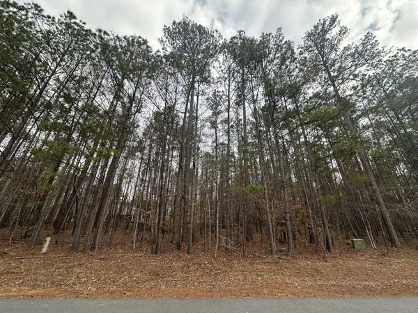 B14 L18 Candlewick Loop, McCormick, SC 29835