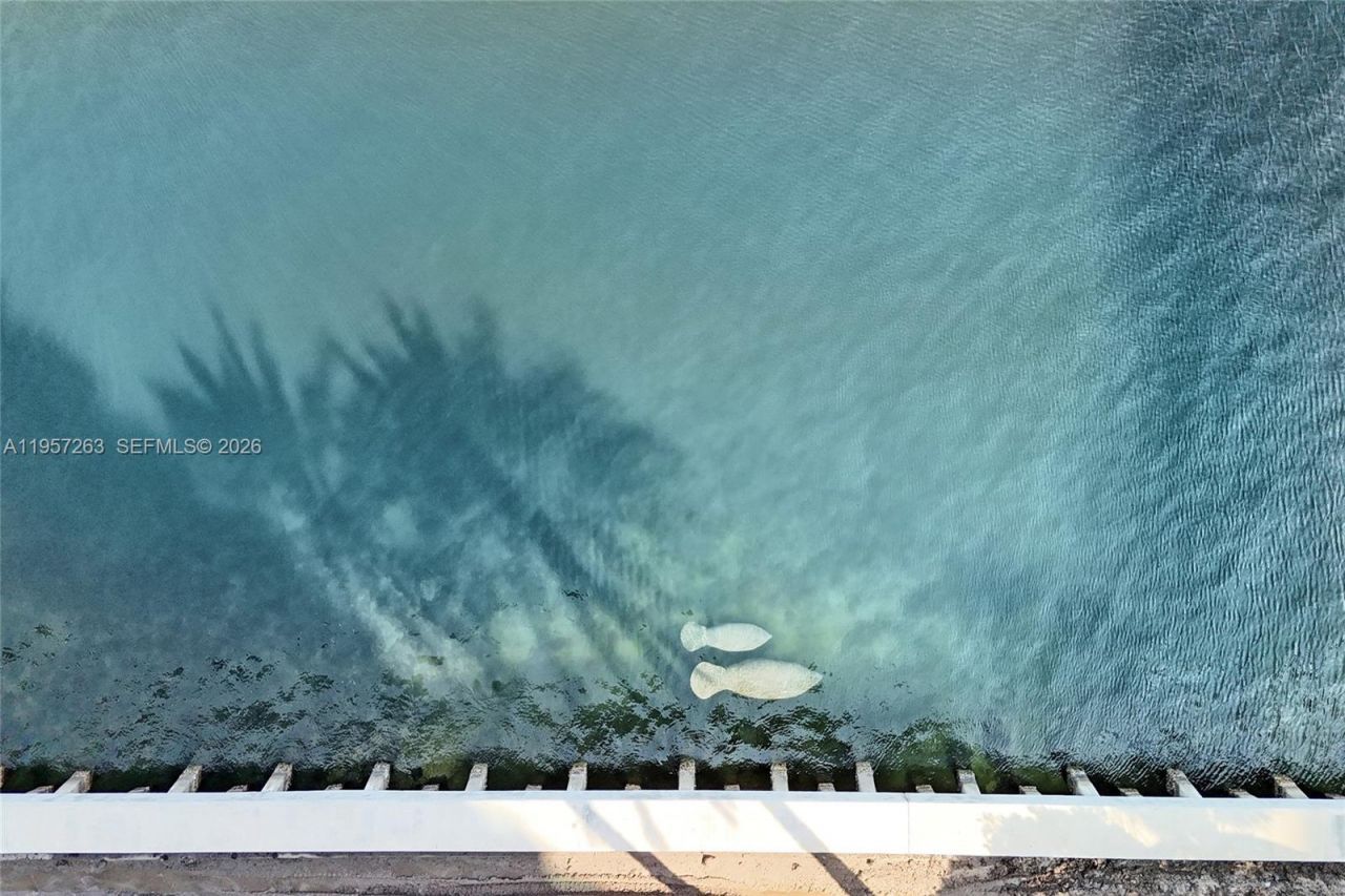 20201 E Country Club Dr, Unit 1808, Aventura, FL 33180 Photo