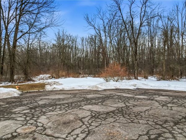 Cheeks Court, Cortland, OH 44410