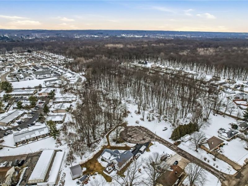 Cheeks Court, Cortland, OH 44410 Photo 10