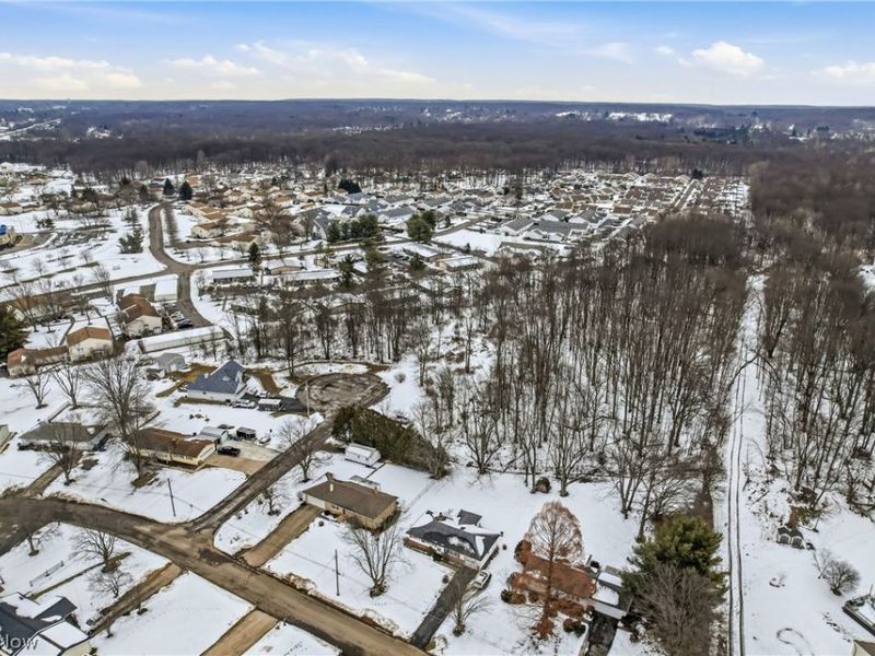 Cheeks Court, Cortland, OH 44410 Photo 11