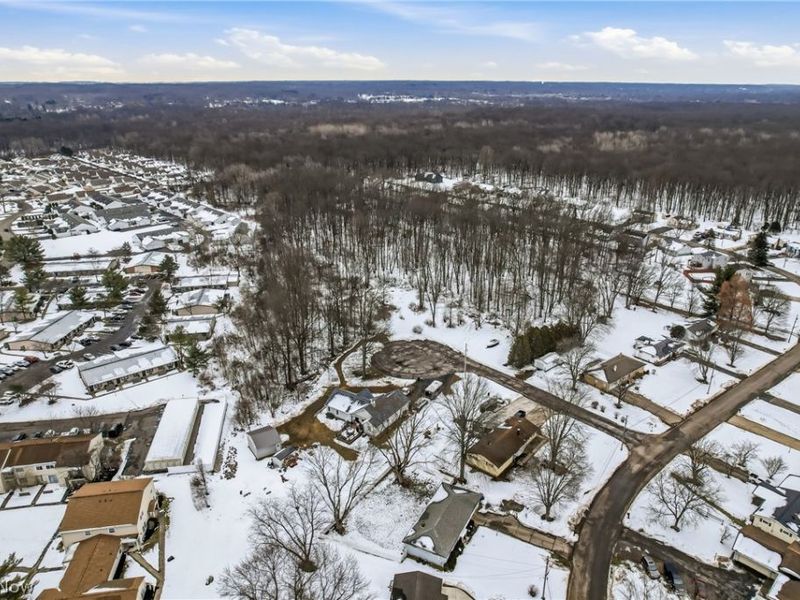 Cheeks Court, Cortland, OH 44410 Photo 16