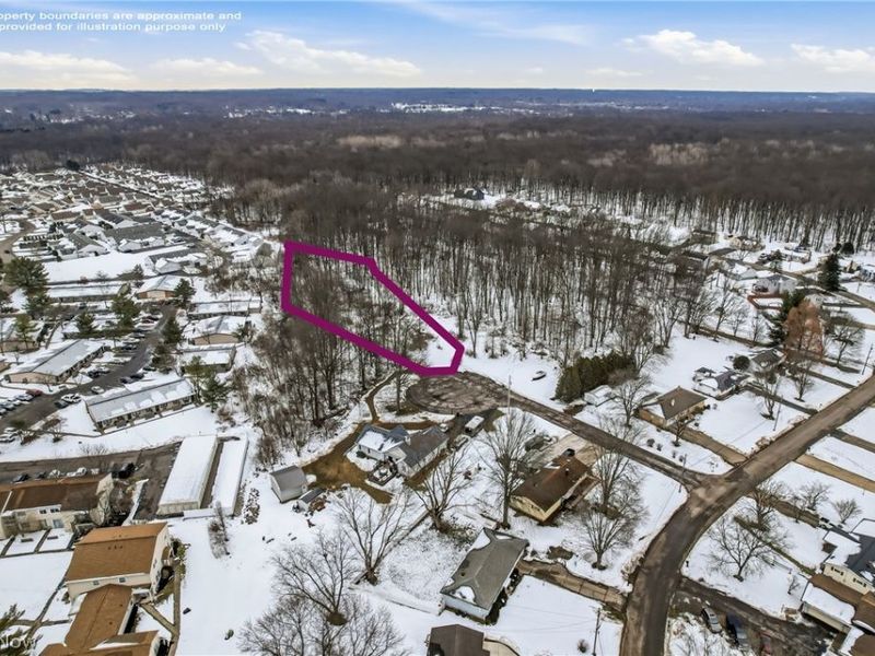 Cheeks Court, Cortland, OH 44410 Photo 4