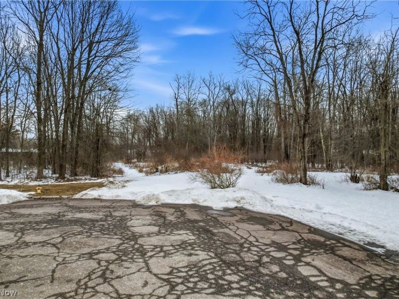 Cheeks Court, Cortland, OH 44410 Photo 5