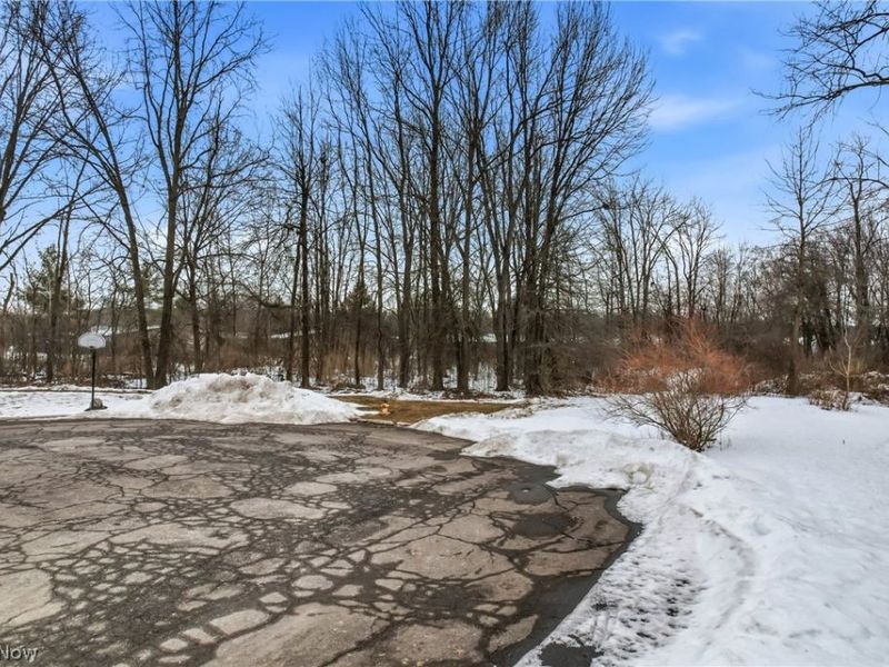 Cheeks Court, Cortland, OH 44410 Photo 6