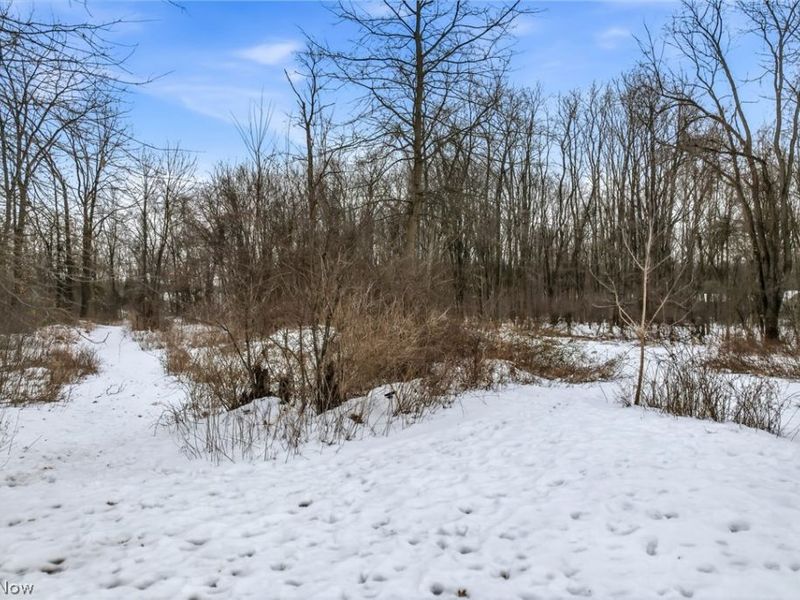 Cheeks Court, Cortland, OH 44410 Photo 7