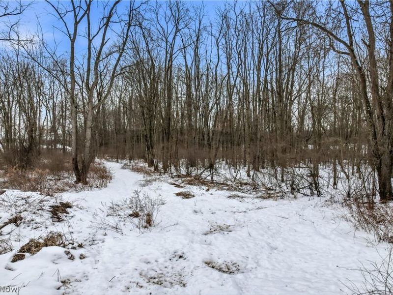 Cheeks Court, Cortland, OH 44410 Photo 8