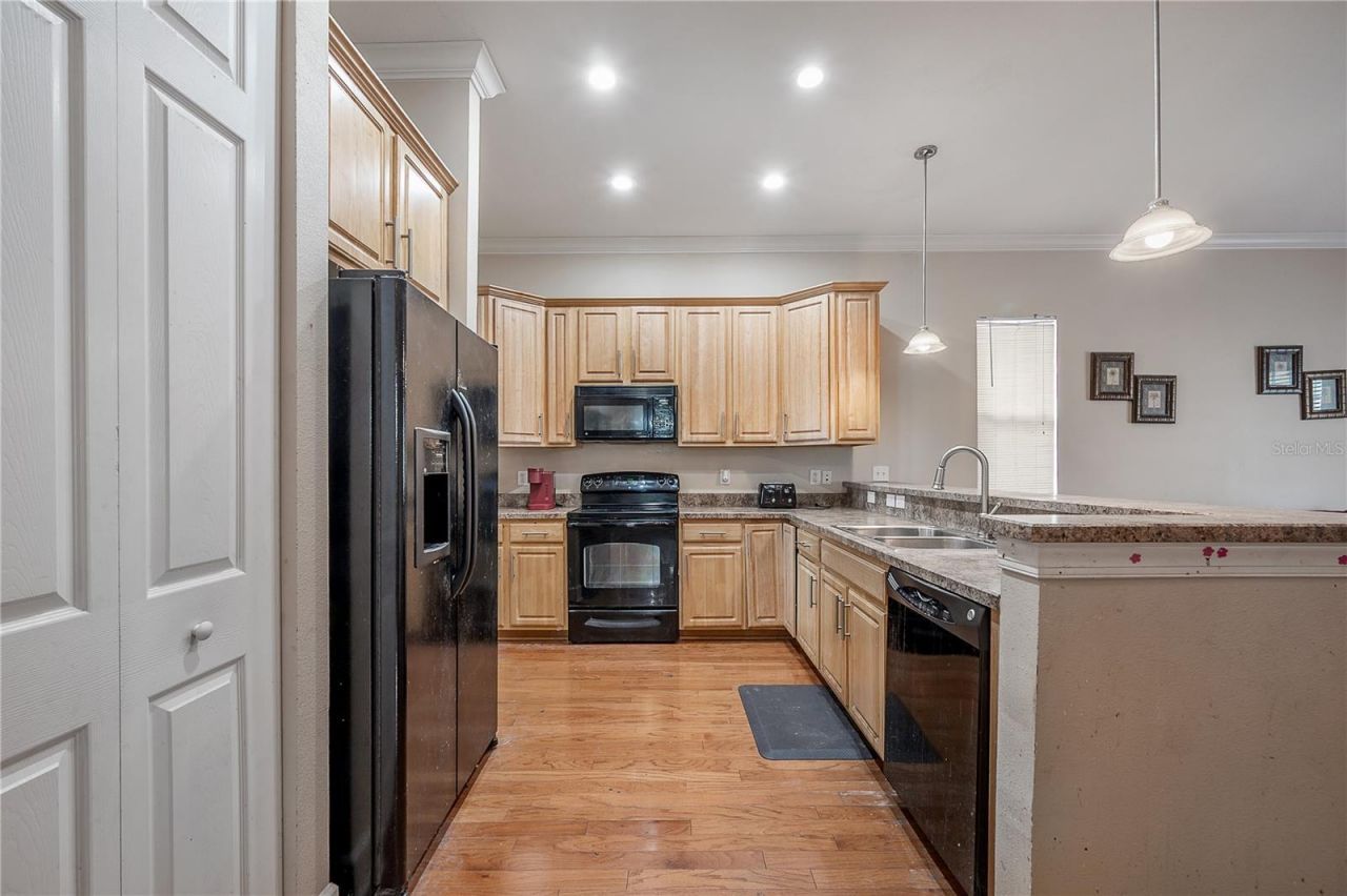 7402 N Central Avenue, Tampa, FL 33604 Photo