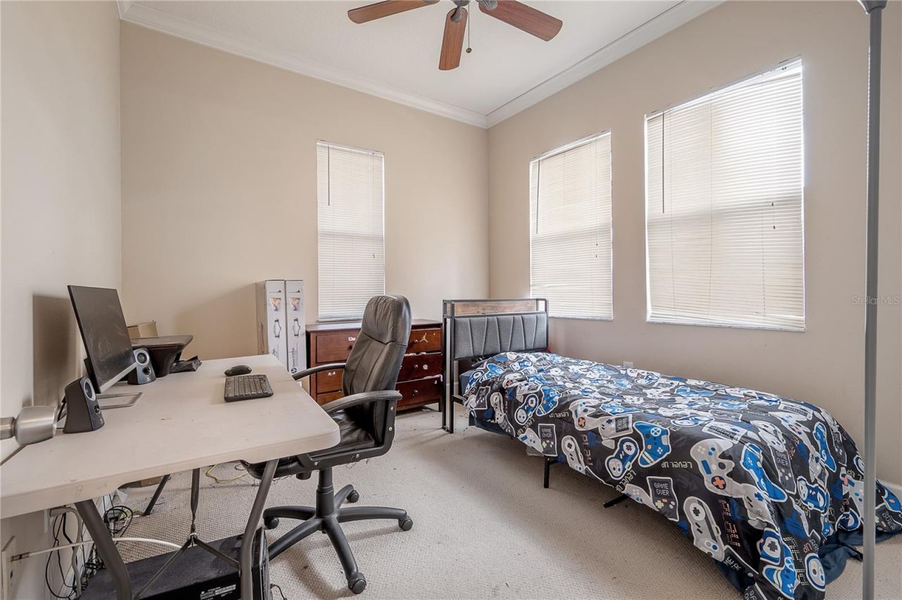 7402 N Central Avenue, Tampa, FL 33604 Photo