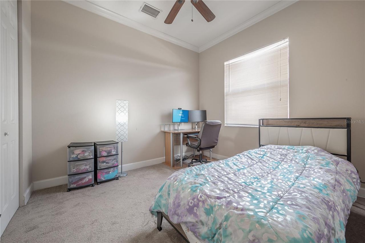 7402 N Central Avenue, Tampa, FL 33604 Photo