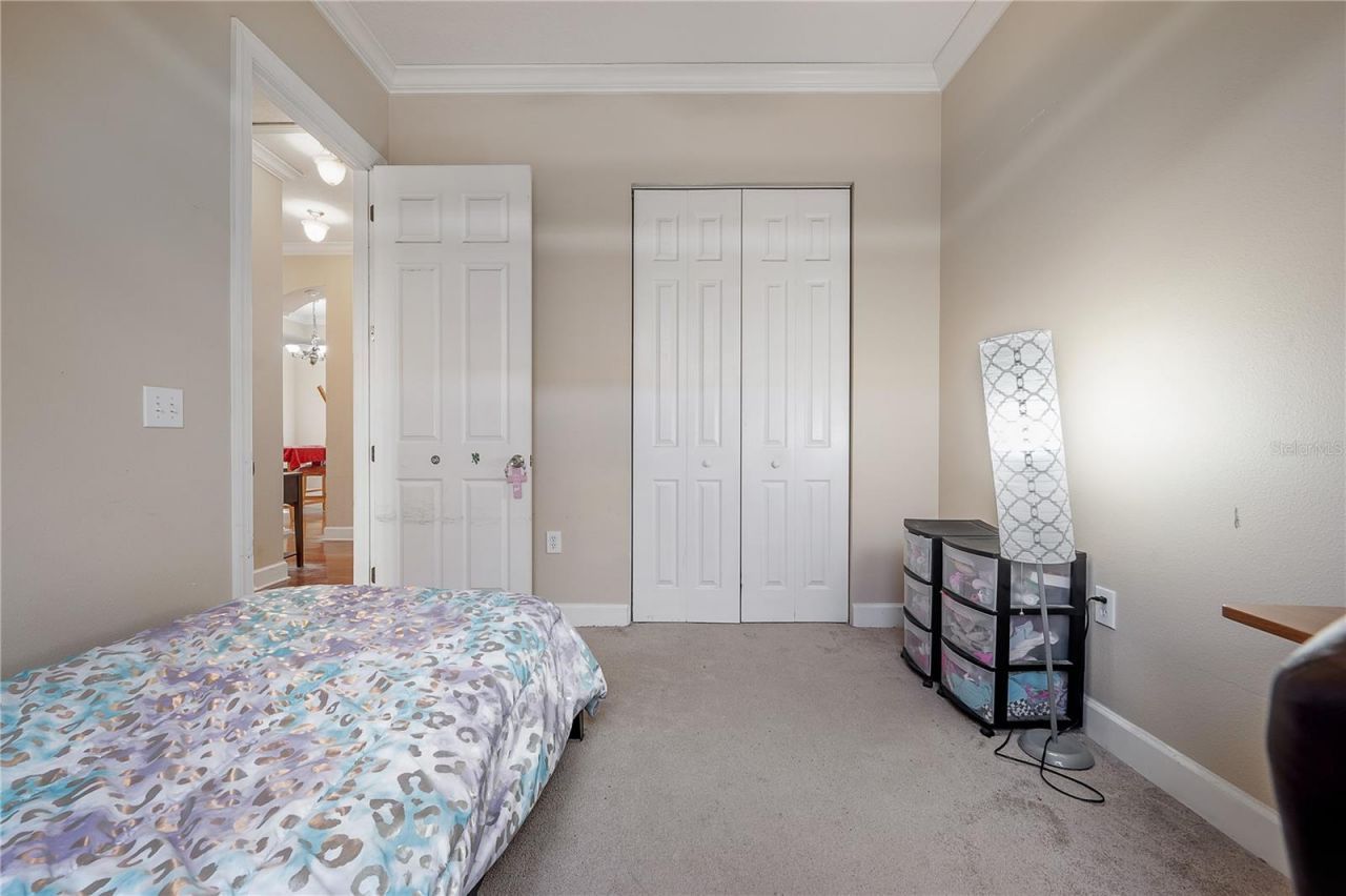 7402 N Central Avenue, Tampa, FL 33604 Photo