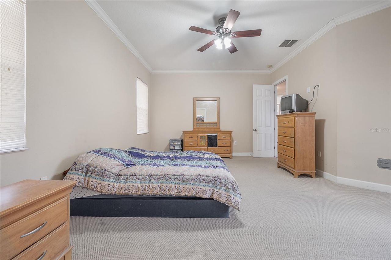 7402 N Central Avenue, Tampa, FL 33604 Photo