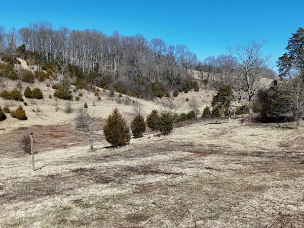 Tract 3 Methodist Ridge Road, Telford, TN 37690