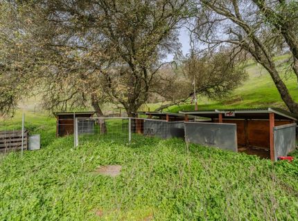 14542 E School Street, Amador City, CA 95601 Photo