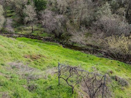 14542 E School Street, Amador City, CA 95601 Photo