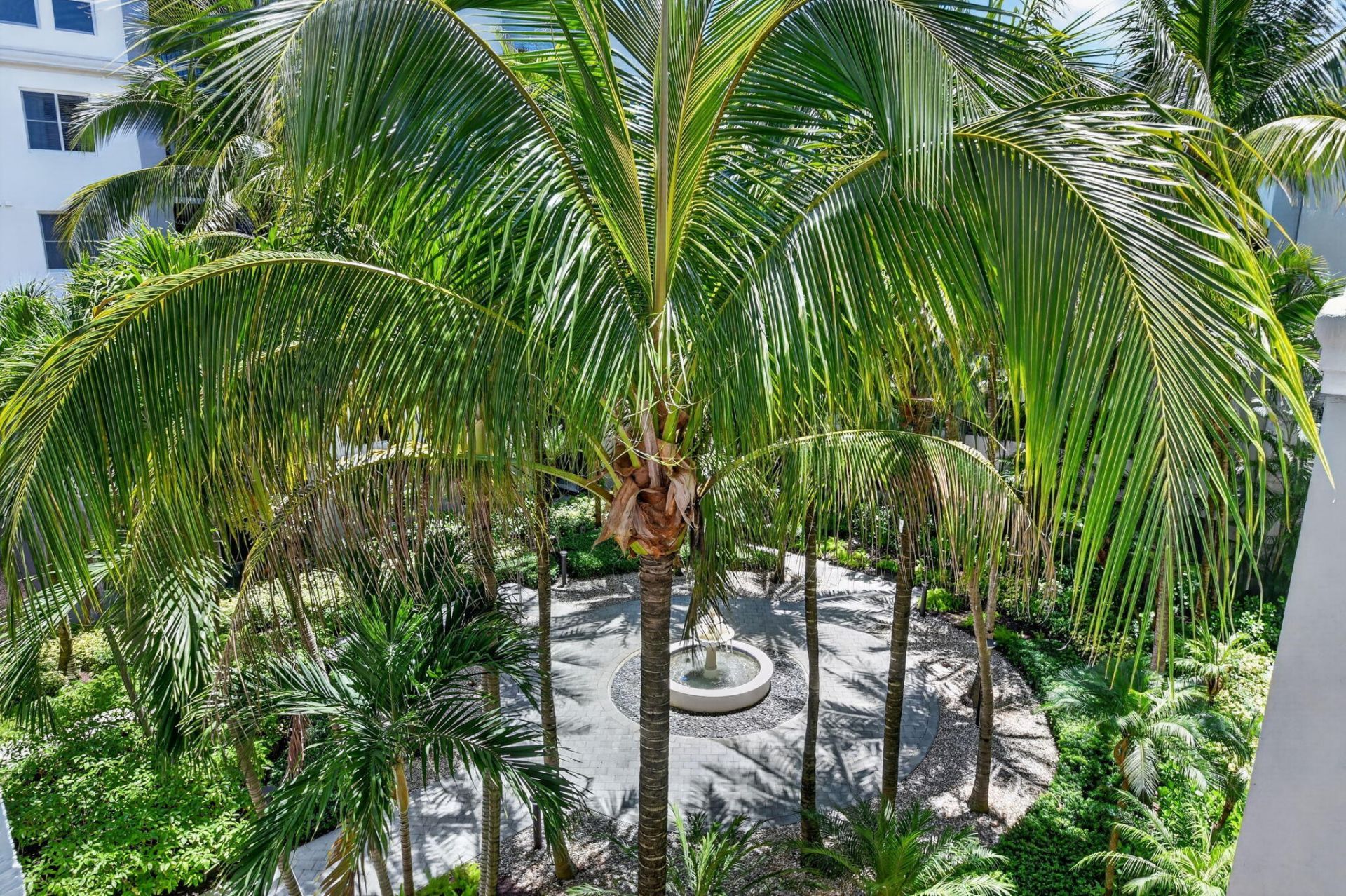 1660 Renaissance Commons Boulevard, Unit 2407, Boynton Beach, FL 33426 Photo