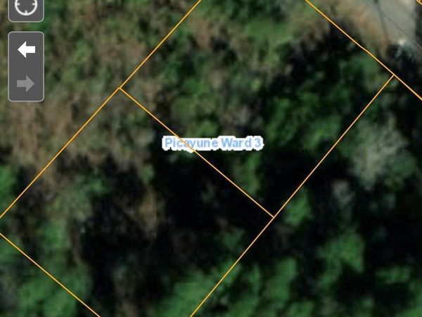 Cedar Grove Avenue, Picayune, MS 39466