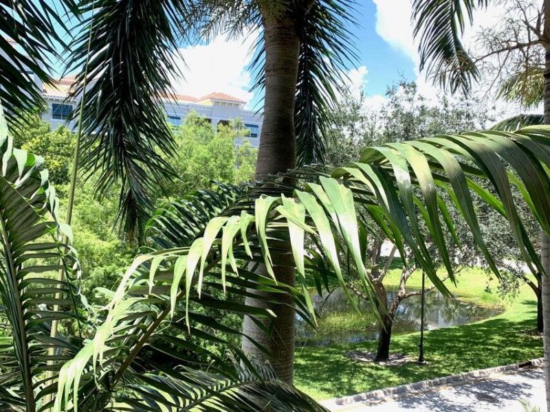 1690 Renaissance Commons Boulevard, Unit 1215, Boynton Beach, FL 33426 Photo