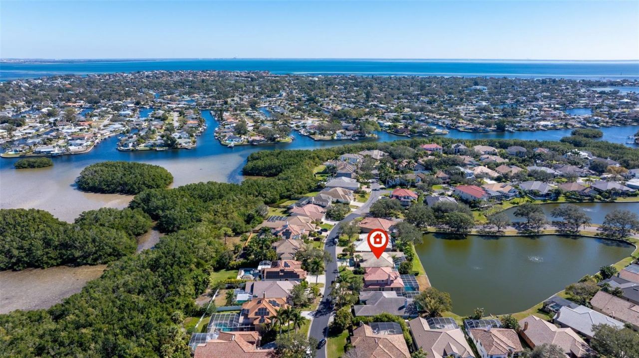 1144 Darlington Oak Drive Ne, Saint Petersburg, FL 33703 Photo